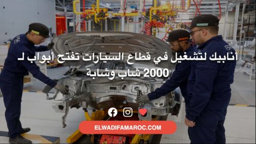 أنابيك لتشغيل في قطاع السيارات تفتح أبواب لـ 2000 شاب وشابة